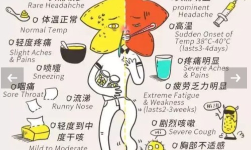 石菖蒲和什么中药配伍好呢网 - 为你提供石菖蒲和哪个中药配伍合适、石菖蒲和什么中药配伍好呢女性