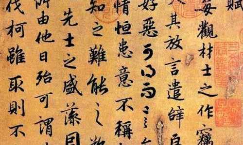 石菖蒲和什么中药搭配好-石菖蒲和什么中药配伍好呢网 - 为你提供石菖蒲和哪个中药配伍合适、石菖蒲和什么中药配伍好呢女性